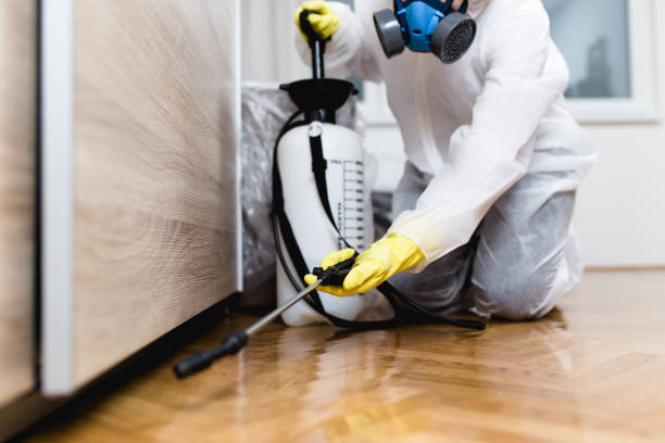 Reliable Berkeley, IL Pest Control Solutions