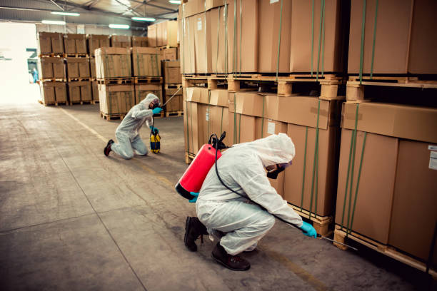 Best Mosquito Control Services  in Berkeley, IL
