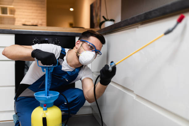 Best Emergency Pest Control  in Berkeley, IL