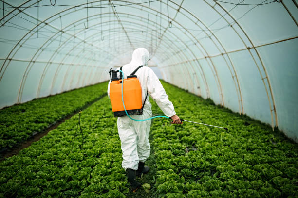 Best Affordable Pest Control Services  in Berkeley, IL