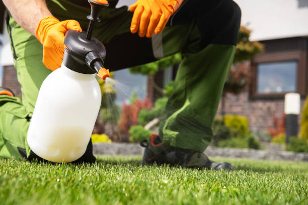 Flea Control Services in Berkeley, IL