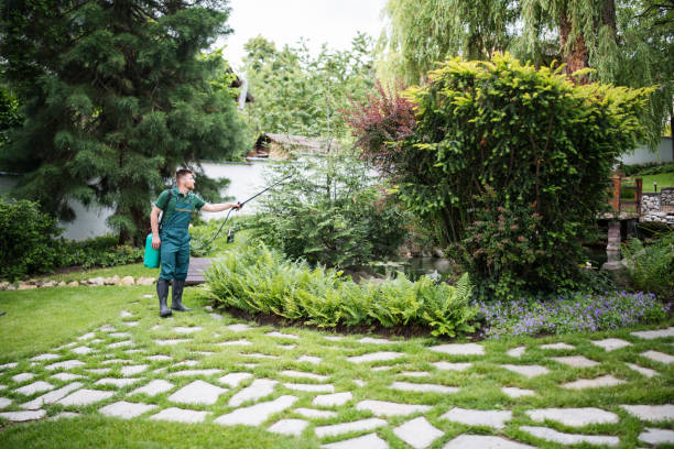 Best Pest Removal Services  in Berkeley, IL