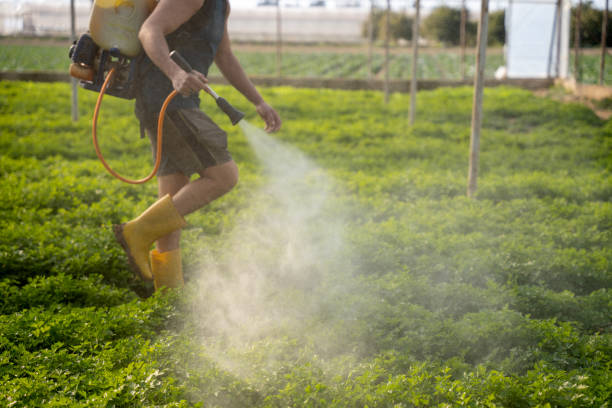 Best Pest Control Treatment  in Berkeley, IL