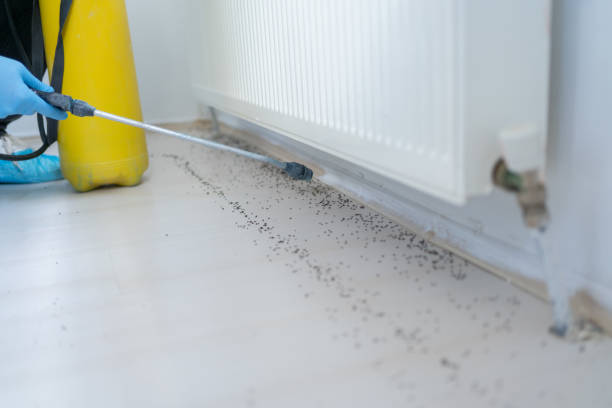 Best Pest Removal Services  in Berkeley, IL