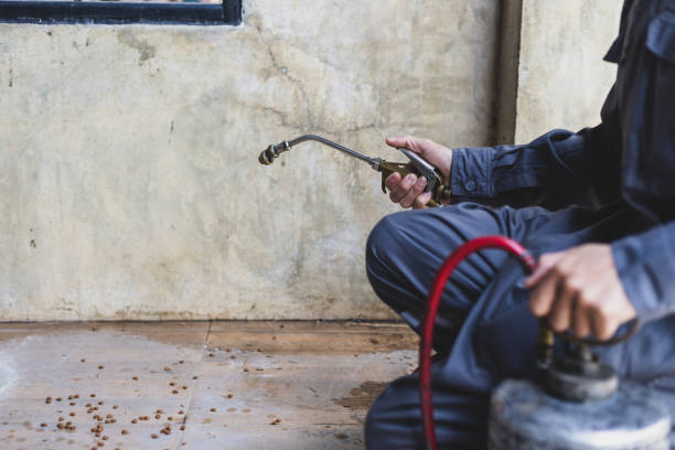 Best Wasp Removal Services  in Berkeley, IL